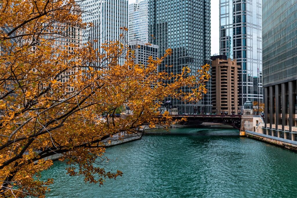 Hojas de otoño con vistas al río Chicago y a los edificios del centro de la ciudad