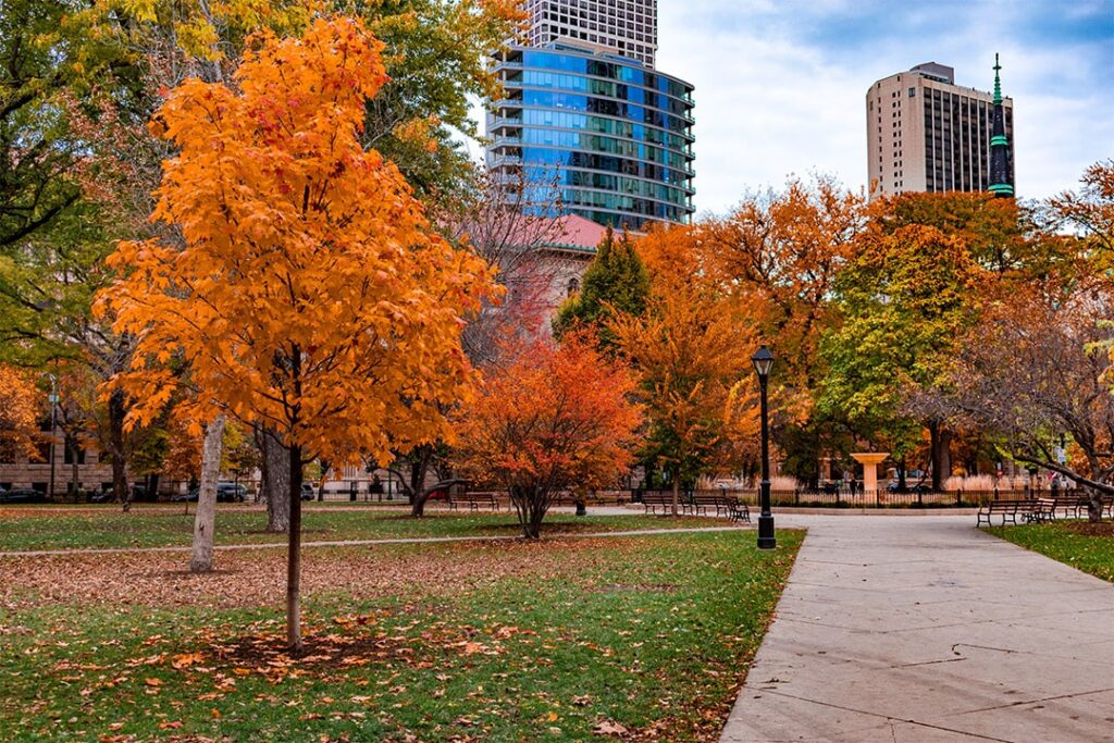 Árboles otoñales de color naranja en un parque del centro de Chicago