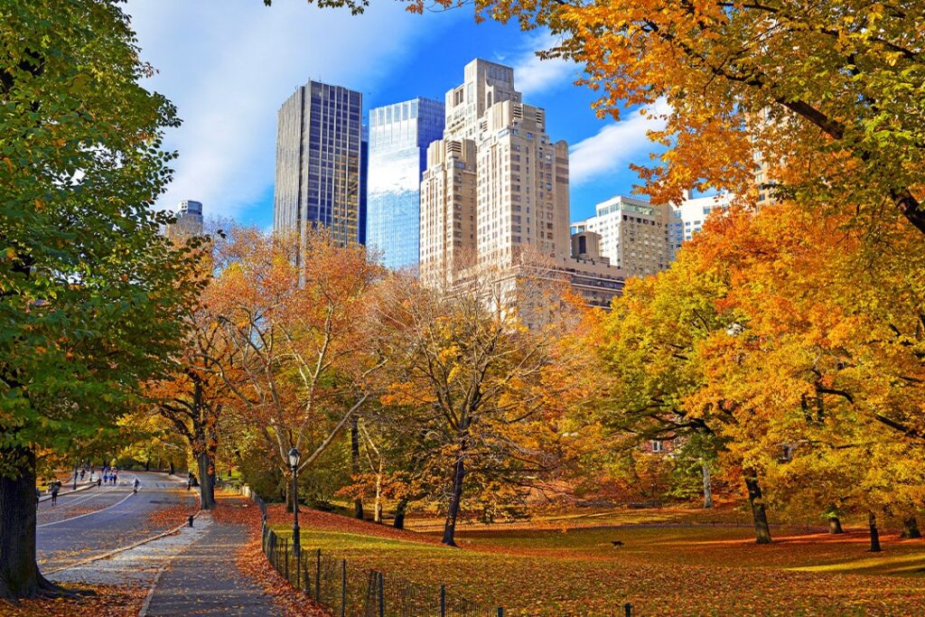 Los senderos de los parques de Chicago y el perfil de la ciudad enmarcados por el follaje dorado del otoño